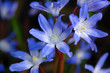 blau und weiß