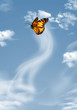 papillon sur fond de ciel bleu