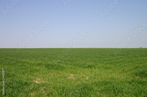 horizon