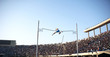 pole vault
