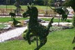 horse shaped plant