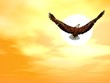 wings of glory