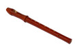recorder - back view