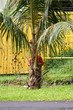kid hiding