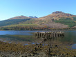 arrochar alps