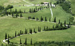 tuscan landscape