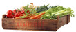 crate of healthy vegetables crate of healthy vegetables