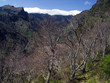 volcan de madère