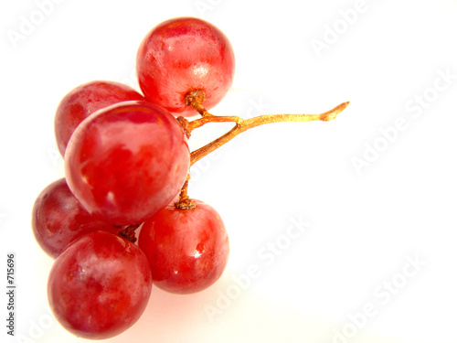 raisin rouge raisin rouge
