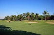 golf field