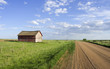 rural scene