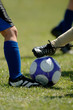 childrens football - soccer