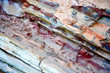 colorful rock formation