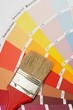 brush on colorcharts
