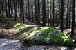 waldstein waldstein
