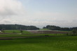 nebelwald nebelwald