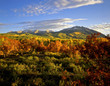 west beckwith mountain 2