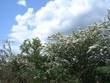 Foto: landscape landscape