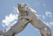fighting lions statue with pretty sky