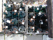 alte flaschen
