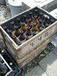 alte bierflaschen