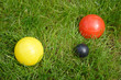 boule sur pelouse