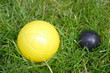 boule sur pelouse