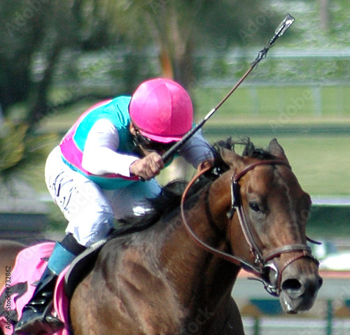 Photo: race horse & jockey race horse & jockey