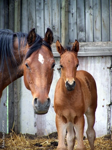 mom and baby