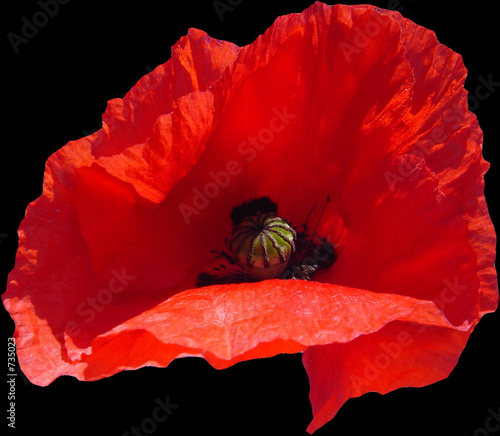 rouge et noir rouge et noir