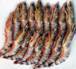 crevettes
