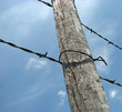 barb wire fence post barb wire fence post