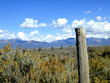 Photo: barbed wire fence barbed wire fence