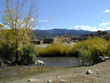 taos pueblo horse