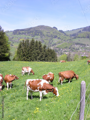 campagne