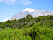 kilimanjaro in afrika kilimanjaro in afrika