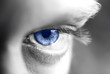 eye