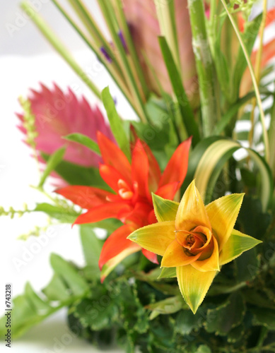 centerpiece centerpiece