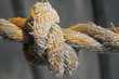 der knoten