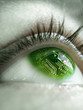 chip en ojo