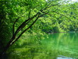 see im wald