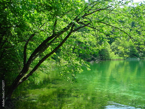see im wald