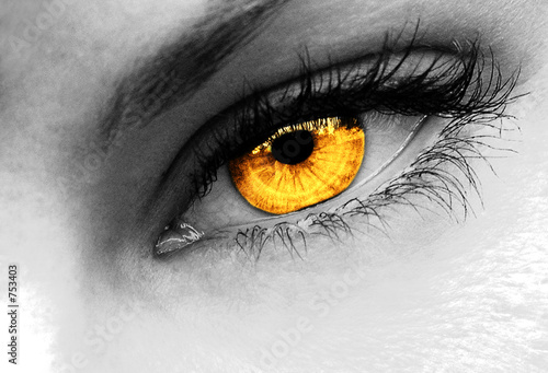 gold eye