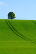 colline colline