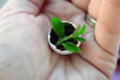 new life new life