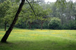 park