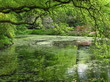 parkszene parkszene