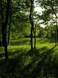 park
