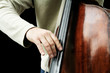 double bass player