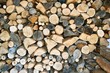 tas de bois